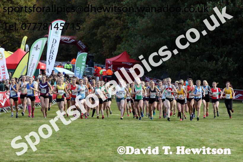 Junior women, 2016 National Cross Cpuntry Relays, Berry Hill Park, Mansfield. Photo: David T. Hewitson/Sports for All Pics